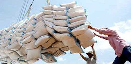 Cameroun : les importations de céréales en hausse de 40% en 2024