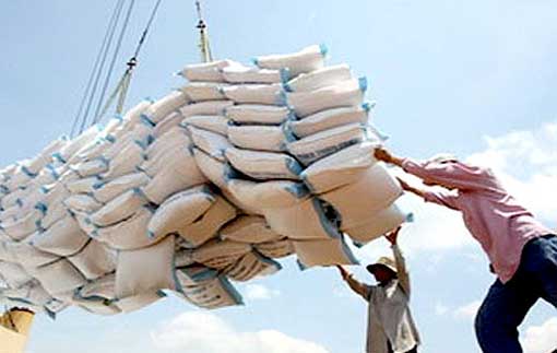 importations-de-riz