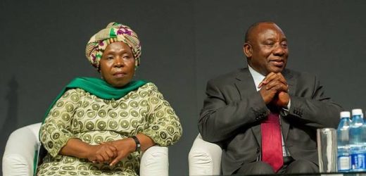 Afrique du Sud:   la guerre Cyril Ramaphosa -Dlamini Zuma fragilise l&rsquo;ANC