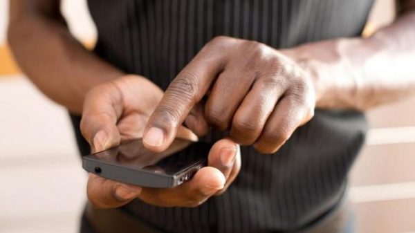 free_roaming_afrique