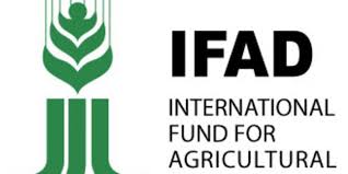 La Mauritanie bénéficiera d’un don de 21 millions d’USD du FIDA