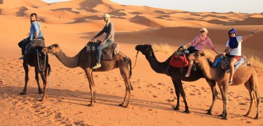 Mauritanie : le tourisme sous de bons augures