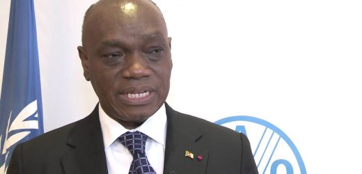 Le Cameroun interdit l&rsquo;usage  des pesticides à base du Métalaxyl dans le cacao