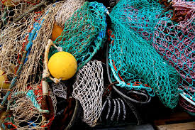 Sénégal: la  Commission Sous Régionale des Pêches monte au filet