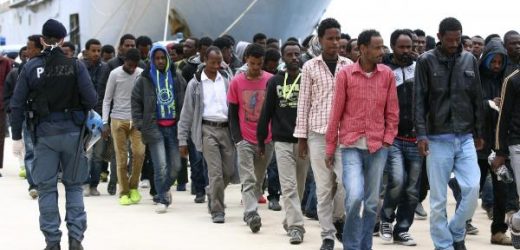 Mourir pour atteindre l’Europe: un aperçu des voyages désespérés d’Erythréens en quête de sécurité