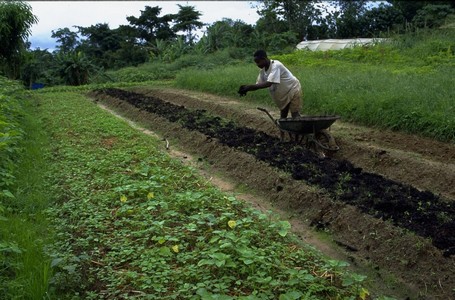 agriculture-agricultureperiurbaine-afd-1