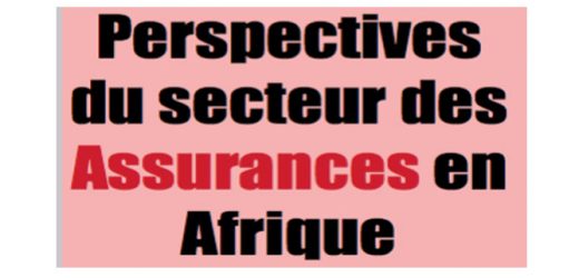 Au sommaire de Financial Afrik numéro 37
