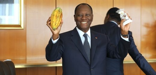 Côte d’Ivoire : Le prix bord champ du Cacao fixé à 1000 F CFA (1,5 euro)