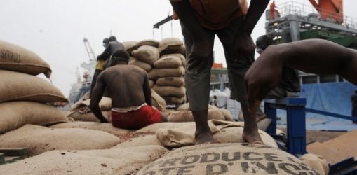 Ghana : hausse de 62,58 % du prix à la production du cacao