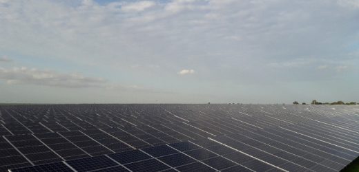Nigeria: Oriental Renewable Solutions et Greenwish Partners annoncent un projet d&rsquo;énergie solaire de 50 MW