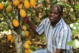 Côte d’Ivoire : le marocain OCP à l’assaut des plantations de cacao