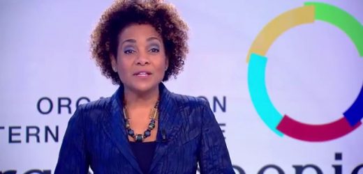 La Secrétaire générale de la Francophonie en visite officielle au Niger