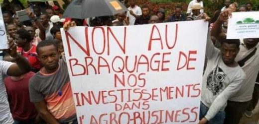 Côte d’Ivoire/Agrobusiness : le grand désarroi des souscripteurs
