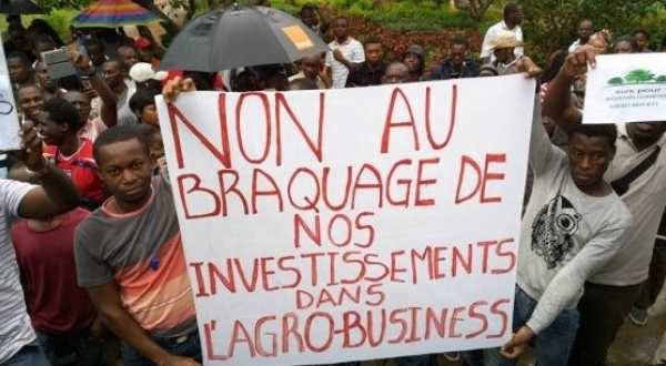 6424-agrobusiness