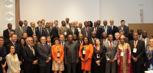 Africa Renewable Energy Initiative en séminaire à Conakry