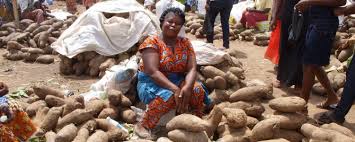 Pour une approche genre dans les investissements en Afrique : combler l&rsquo;écart entre les sexes dans l&rsquo;agroalimentaire