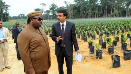 Investissement privé: l’exemple du groupe OLAM (Gabon)