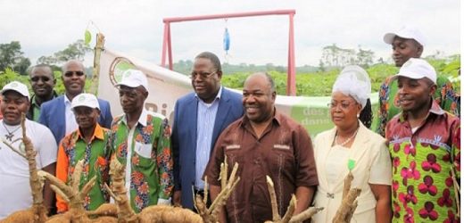 Gabon: Le programme GRAINE,  deux ans après