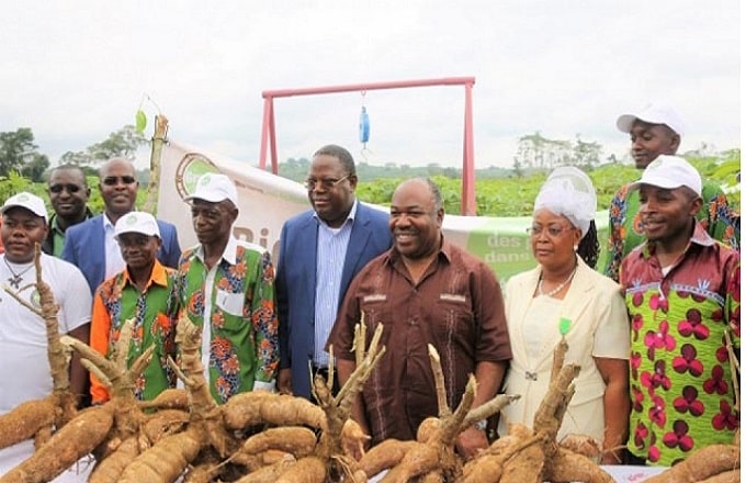 a-a-a-ali-bongo-pro-graine