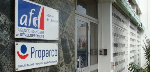 Afrique Centrale : Proparco soutient la gestion responsable des forêts