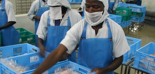 Le Nigeria leader des PME dynamiques