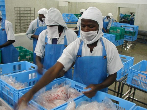 unido-tanzania_mwanza_fish_010036