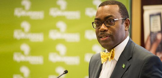 Akinwumi Adesina, président de la BAD : « L’Afrique détient la clé pour nourrir neuf milliards de personnes d’ici à 2050 »