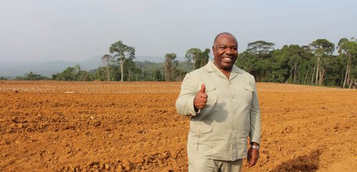 « Le Gabon: Programme GRAINE, le «Plan Marshall» de la politique agricole du Gabon»
