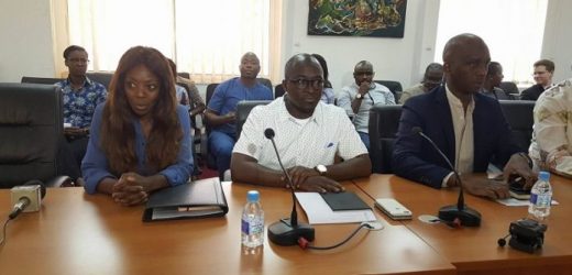 Guinée : la croissance du PIB à 6,7 % en 2017