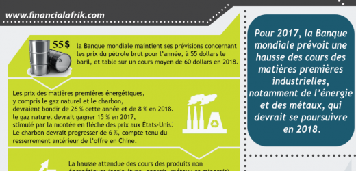 Infographie: La Banque mondiale prévoit une hausse des prix  des matières premières industrielles en 2017