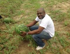 Cas d’école: l’ ONG IDRC Africa au service de l’Agriculture (Gabon)