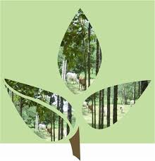 Moringa réalise son deuxième investissement en Afrique avec Asante Capital EPZ