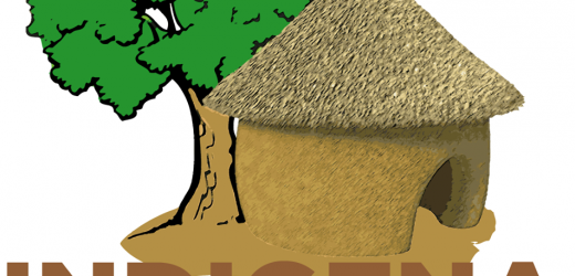 Gabon: Indigéna Food, un modèle de réussite