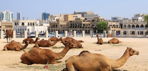 Editorial: la fin du monde arabe