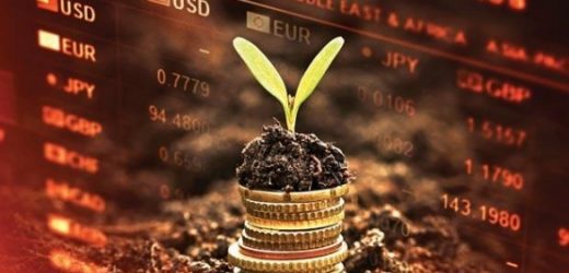 Proparco et IFC investissent dans un Green Bond au Maroc