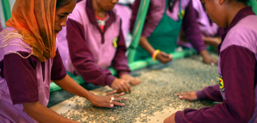 La Banque mondiale lance un fonds de plus d’1 milliard de dollars en faveur des femmes entrepreneurs (We-Fi)