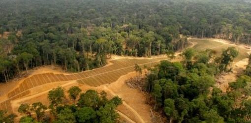 L’atelier « Garantir les droits fonciers communautaires » des commissaires africains sur le foncier ouvre à Accra