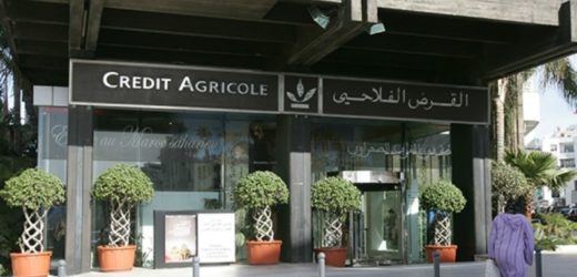 Maroc : le Crédit agricole lance de nouveaux packs de financement de l’agro-industrie