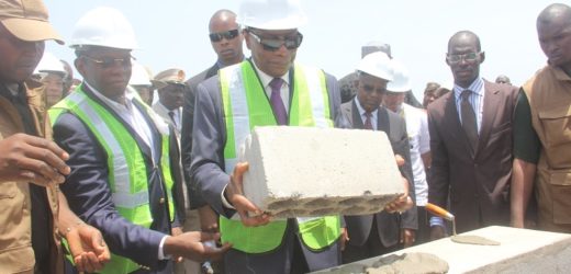 Écologie en Afrique : la Zambie prend des mesures, la Guinée s’enfonce