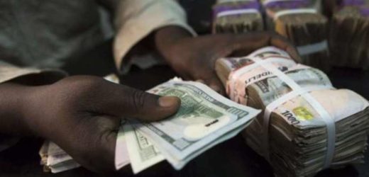 Nigéria : la réserve de change atteint 31 milliards de dollars