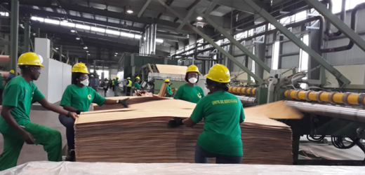 Gabon : vers une ouverture du capital de la Société nationale des bois