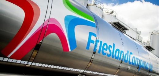 Le géant mondial des produits laitiers FrieslandCampina débarque au Maroc