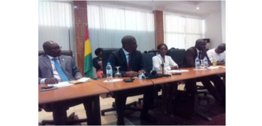 Guinée : mise  en place d’une Task force interministérielle «  Mines et Revenus »