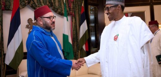 Assurance agricole : le Maroc offre son expertise au Nigeria