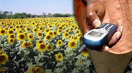 L’agriculture africaine se met à l’heure des applications mobiles