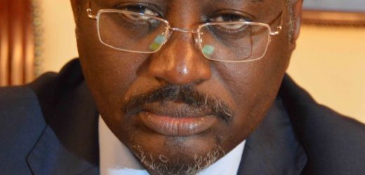 Limogeage du ministre tchadien de l’Elevage