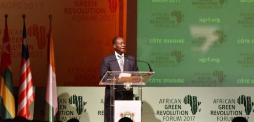 Le modèle agricole ivoirien montré en exemple lors de l’ouverture du Forum sur la révolution verte en Afrique