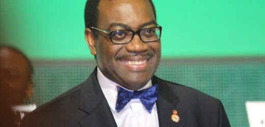 Le président Akinwumi Adesina à Niamey : « La BAD est aux côtés du Niger pour accélérer son développement »