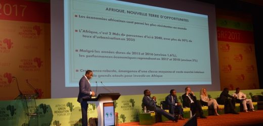 Révolution verte en Afrique : les Etats espèrent passer de la fiction à la réalité