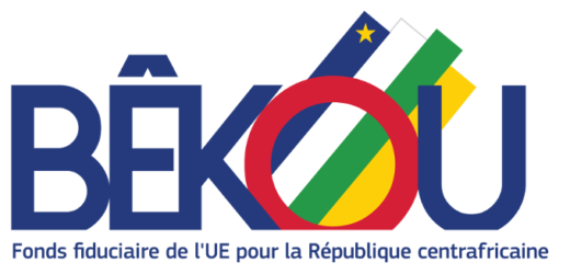 Centrafrique : Succès du premier Fonds fiduciaire de l’UE en Afrique